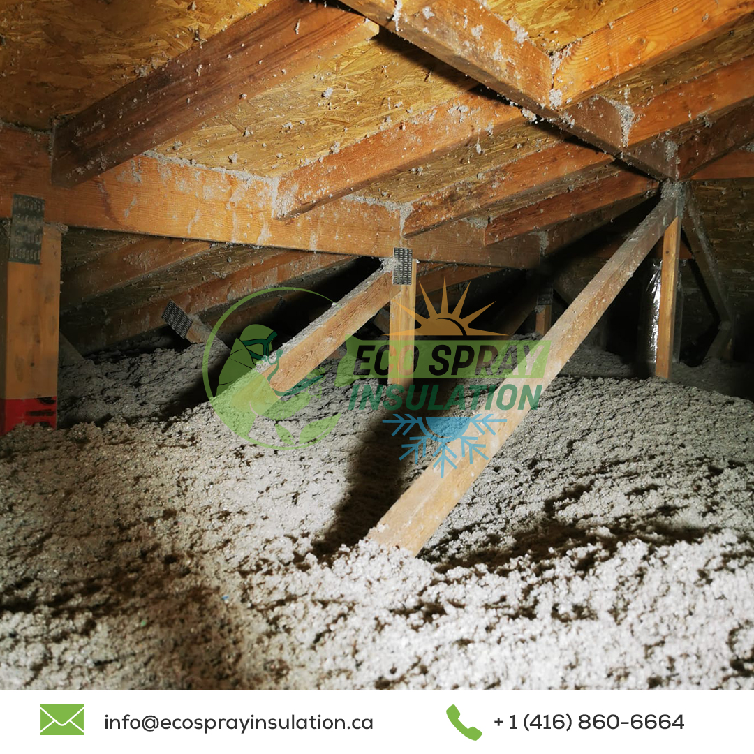 Attic Insulation Newmarket Project | Eco Spray Insulation
