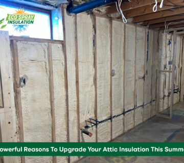 attic insulation