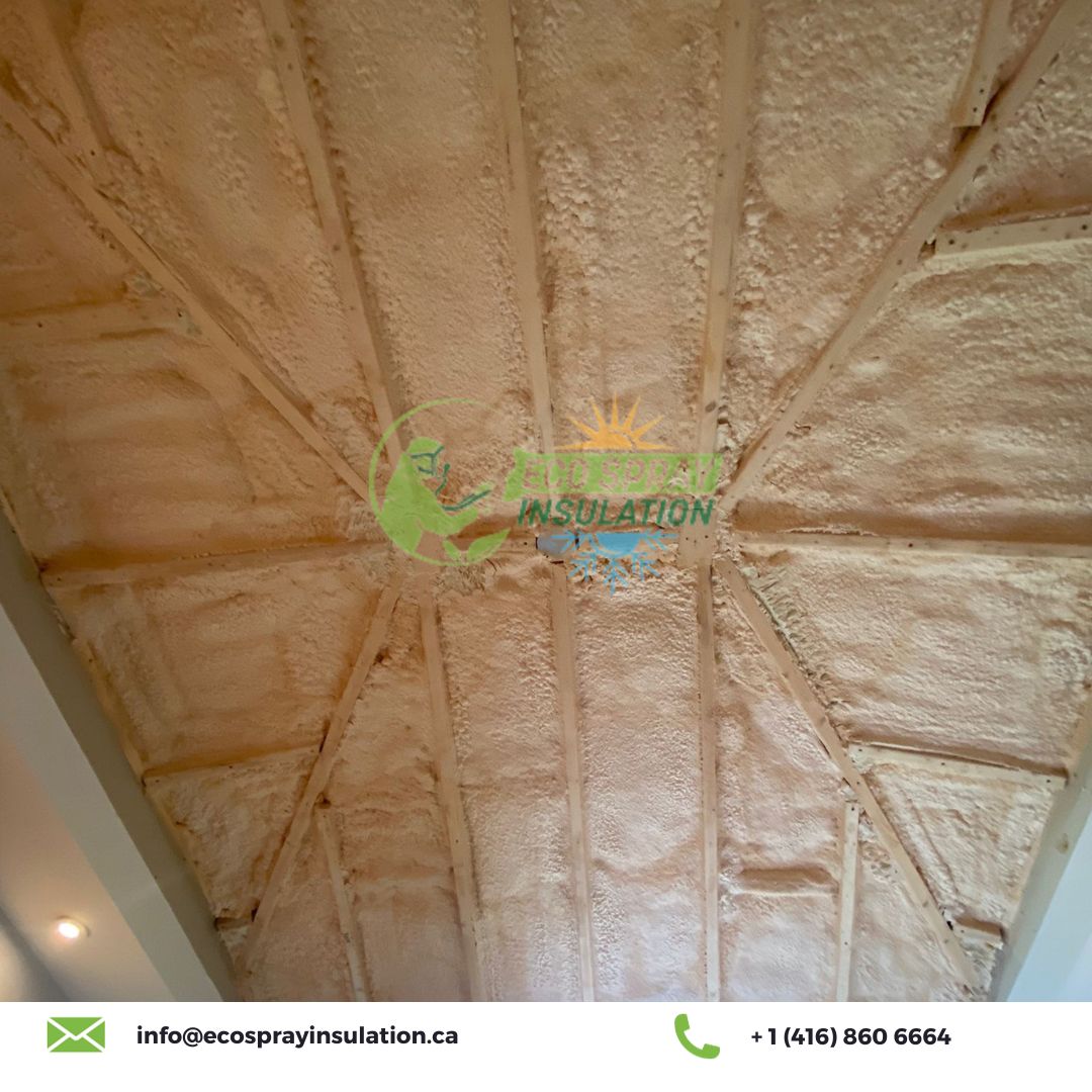 Reliable Insulation For The Ceiling Services In Toronto Eco Spray Insulation